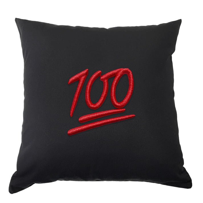Keeping It 100 cushion - MRDUVETS
